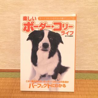 ボーダーコリーの本(犬)