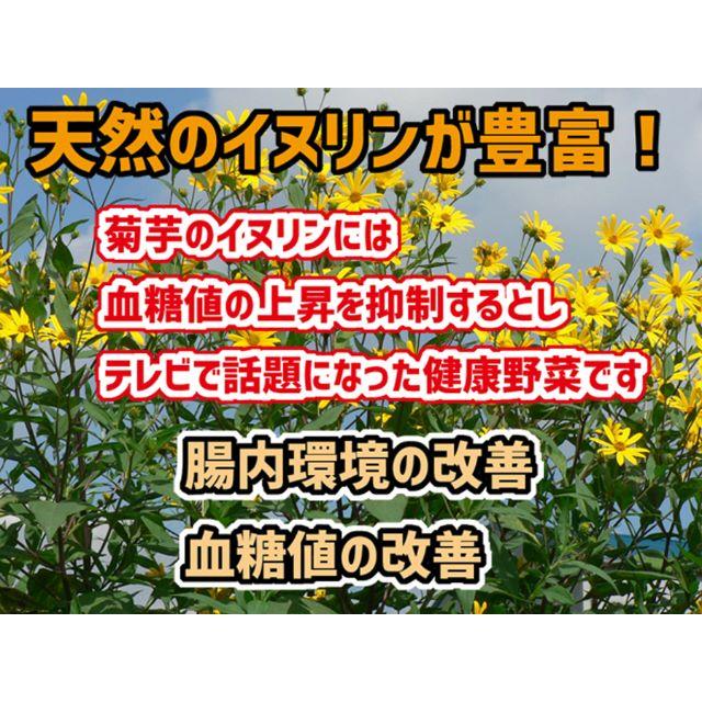 まもなく終了☆イヌリン野菜の王様 キクイモ（土付き）１キロ 食品/飲料/酒の食品(野菜)の商品写真