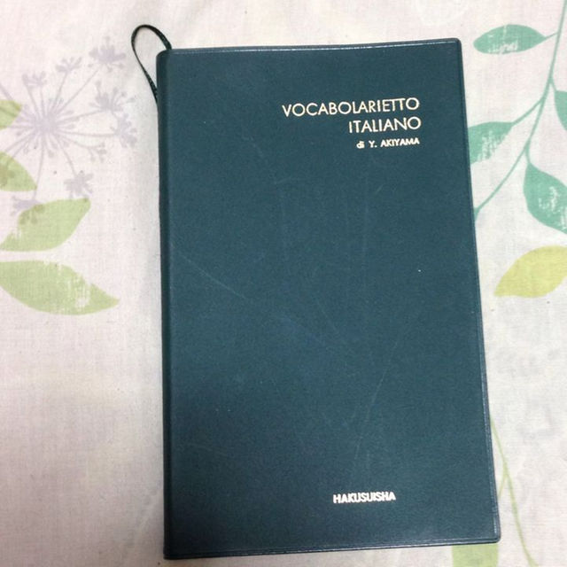 絵で見て学ぶイタリア語、辞書セット その他のその他(その他)の商品写真