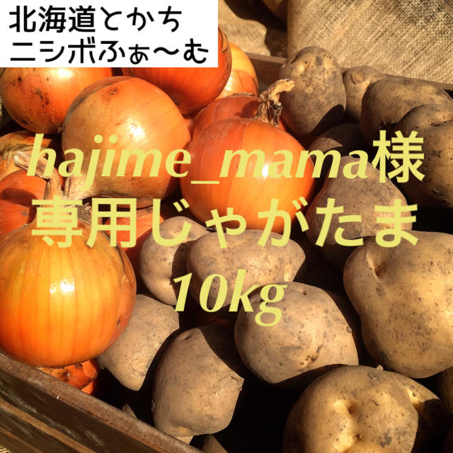 北海道とかちニシボふぁ〜む じゃがたまセット10kg 食品/飲料/酒の食品(野菜)の商品写真