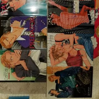 【美品‼️】 「春を抱いていた(ALIVE)」同人誌「BALALAIKA」11冊(その他)