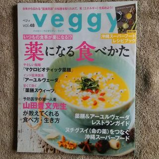 ベジィvol.48 veggy 雑誌(住まい/暮らし/子育て)