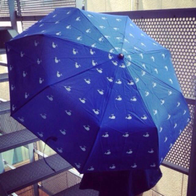 dazzlin(ダズリン)の8月限定価格♡ノベルティ♡クジラ柄傘 レディースのファッション小物(傘)の商品写真