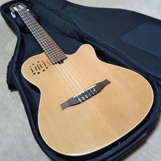 Godin Multiac Nylon Encore / ゴダン エレガット 楽器のギター(クラシックギター)の商品写真