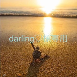 ！darling♡様専用【未使用】エリアブリン☆スリミングジェル(その他)