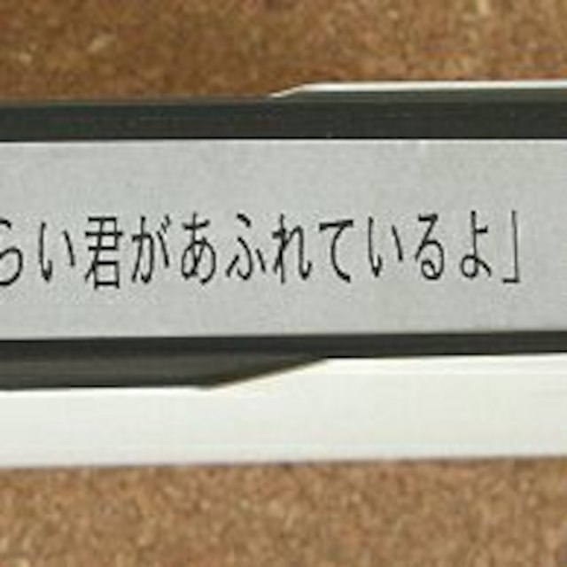 ZARD 店頭宣伝用VHS 非売品　坂井泉水