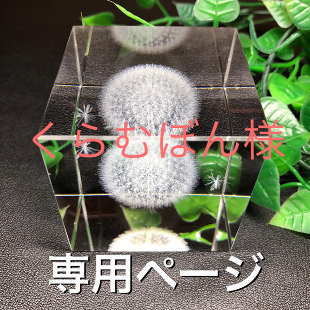 くらむぼん様 専用 コニャックアンバー アクセサリー アクセサリー