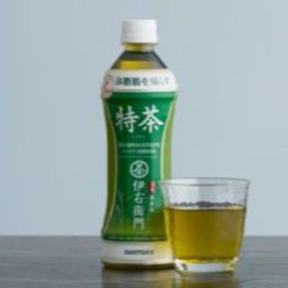 ■訳あり　サントリー 特茶 500ml（特保）3箱(茶)