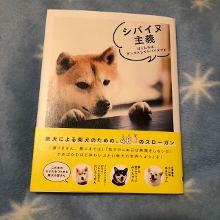 柴犬の本 シバイヌ主義(その他)