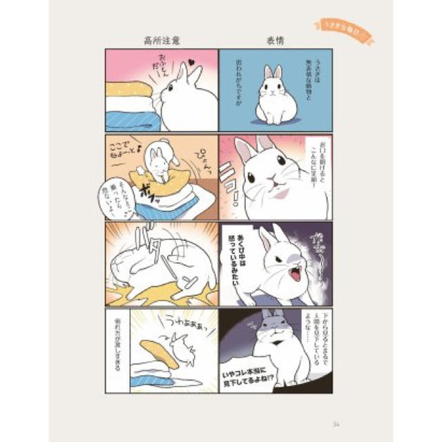 うさごころがわかる本 その他のペット用品(小動物)の商品写真