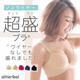 エメフィール(aimer feel)のエメフィール ノンワイヤーブラ  ベージュ(ブラ)