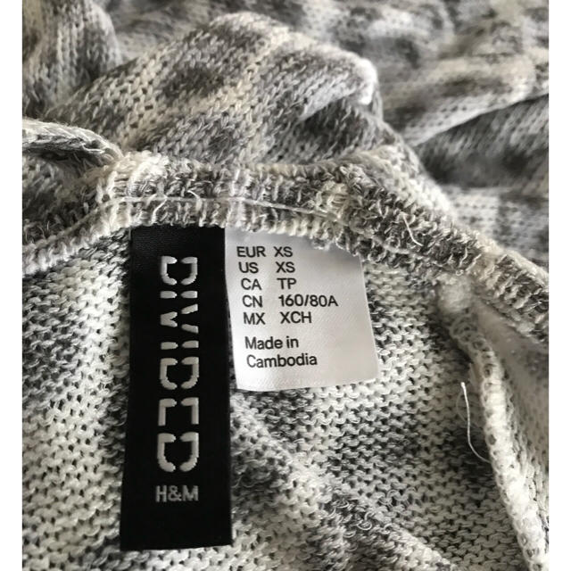 H&M(エイチアンドエム)のH&Mヒョウ柄豹柄ニットトップス試着のみ美品オフショルダー レディースのトップス(ニット/セーター)の商品写真