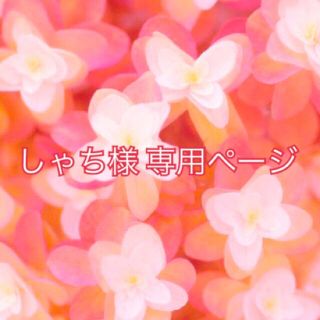 しゃち様 専用ページの通販 by 【ストップ】dusie_koko's shop｜ラクマ