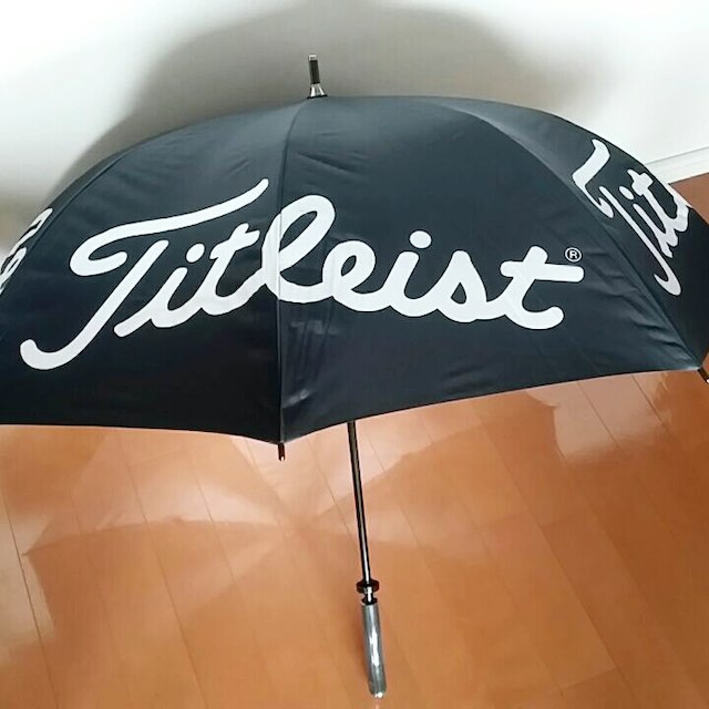 Titleist(タイトリスト)のsorasoraさん専用品 スポーツ/アウトドアのゴルフ(その他)の商品写真