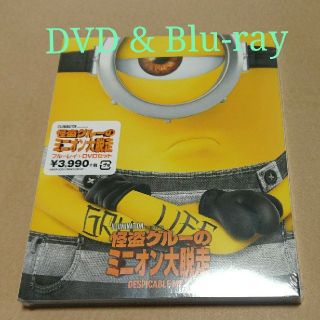 ミニオン(ミニオン)の新品♡怪盗グルーのミニオン大脱走 DVD&Blu-ray(アニメ)