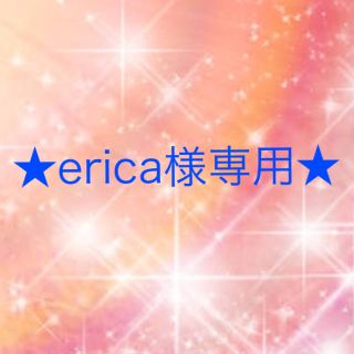 ワコール(Wacoal)のerica様専用(ブラ&ショーツセット)