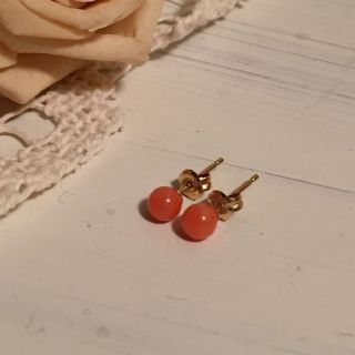 珊瑚  ピアス(ピアス)