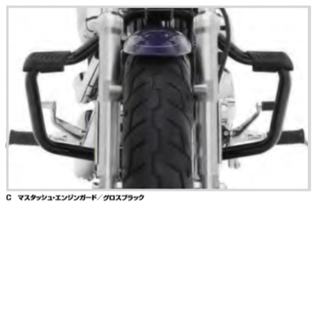 Harley Davidson - 【スポーツスター用】純正マスタッシュ・エンジン 