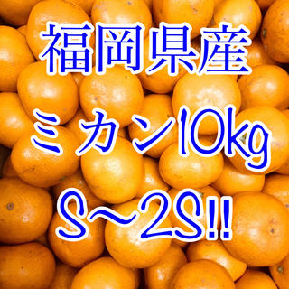 福岡県産 ミカン 10kg  S〜2S(フルーツ)