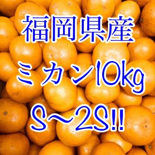 福岡県産 みかん 10kg  S〜2S(フルーツ)