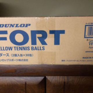 ダンロップ(DUNLOP)のDUNLOP FORT テニスボール 2個✖️30缶(その他)