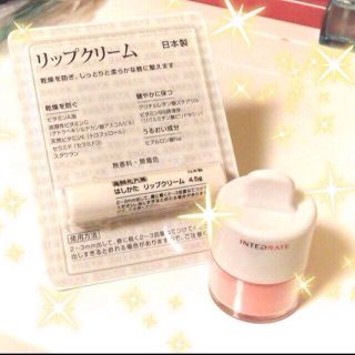 シセイドウ(SHISEIDO (資生堂))のなな様専用☆インテチーク☆箸方おまけ(その他)