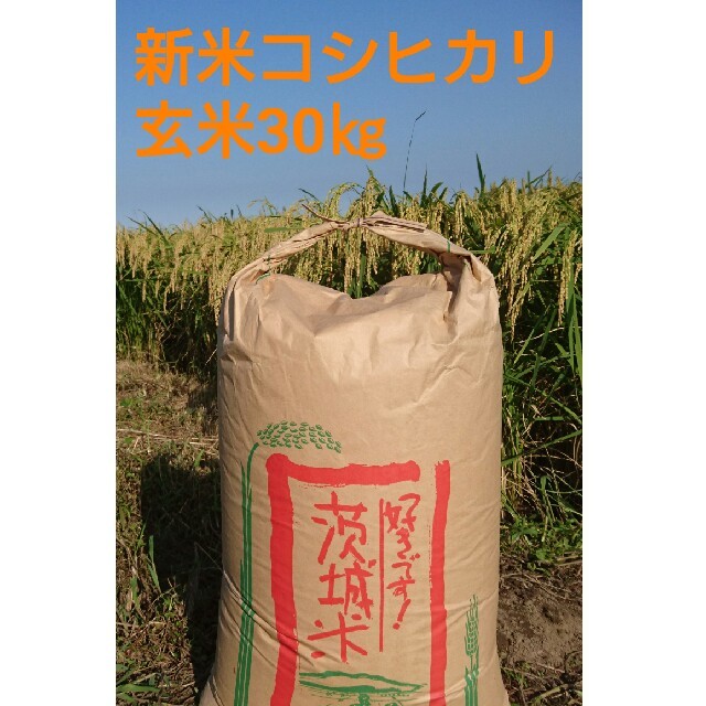 めれ様専用茨城29年産コシヒカリ玄米30㎏の通販 by 米農家もろちゃん｜ラクマ