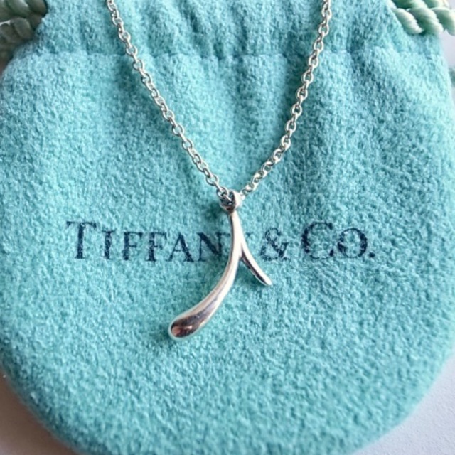 Tiffany & Co.(ティファニー)の美品・贈り物などに。ティファニー　エルサ・ペレッティ　レター「i」ペンダント レディースのアクセサリー(ネックレス)の商品写真