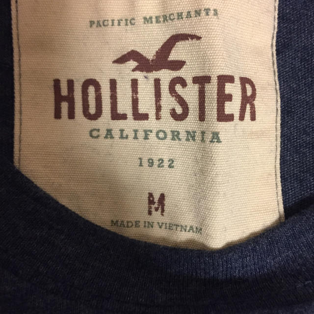 Hollister(ホリスター)のホリスター  Ｔシャツ 紺 メンズのトップス(Tシャツ/カットソー(半袖/袖なし))の商品写真