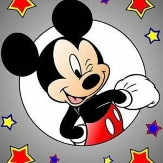 みゅ様☆オーダー専用ページ clubpetschile.cl