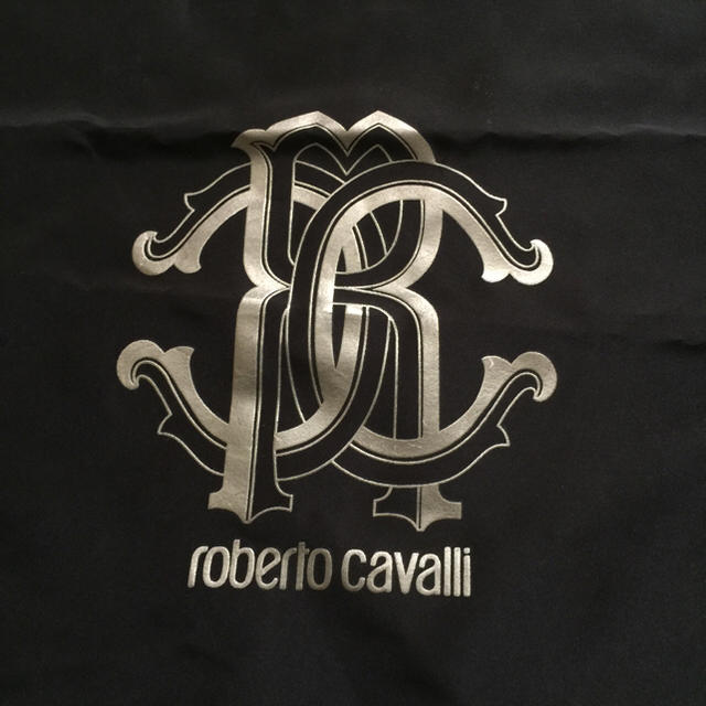 Roberto Cavalli(ロベルトカヴァリ)のロベルト カヴァリ袋 レディースのファッション小物(ポーチ)の商品写真