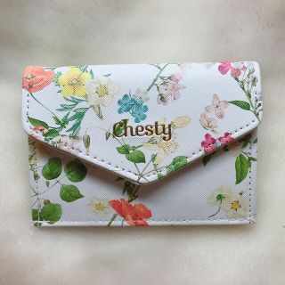 チェスティ(Chesty)のChesty マルチミニ財布(財布)