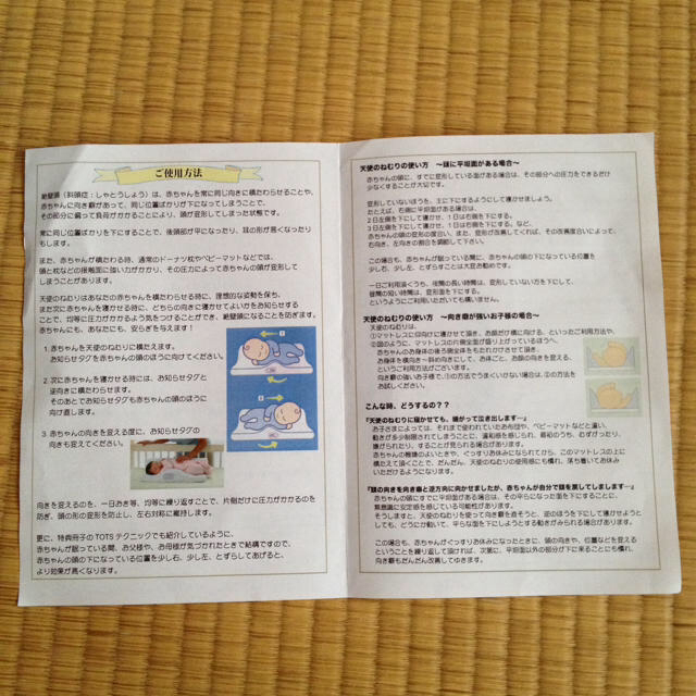 【即出荷】 天使のねむり マニュアルつき ぶち その他