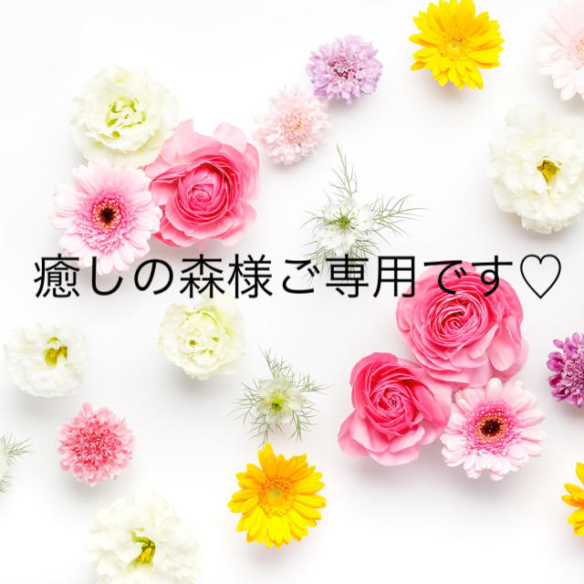 癒しの森様ご専用です♡ 【お1人様1点限り】 6480円 www.gold-and-wood.com