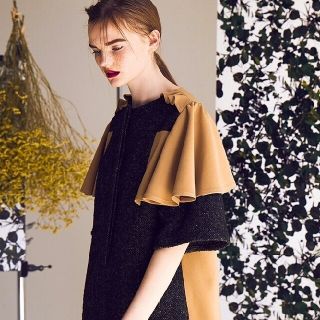 ジュンオカモト(JUN OKAMOTO)の本日限定価格美品☆ジュンオカモト 17AW ラナンキュラスの香りがするワンピース(ひざ丈ワンピース)