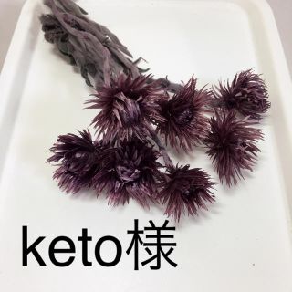 keto様専用ページ(ドライフラワー)