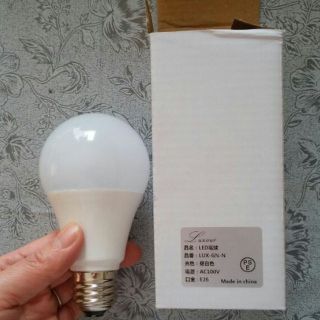 LED電球 60W(蛍光灯/電球)