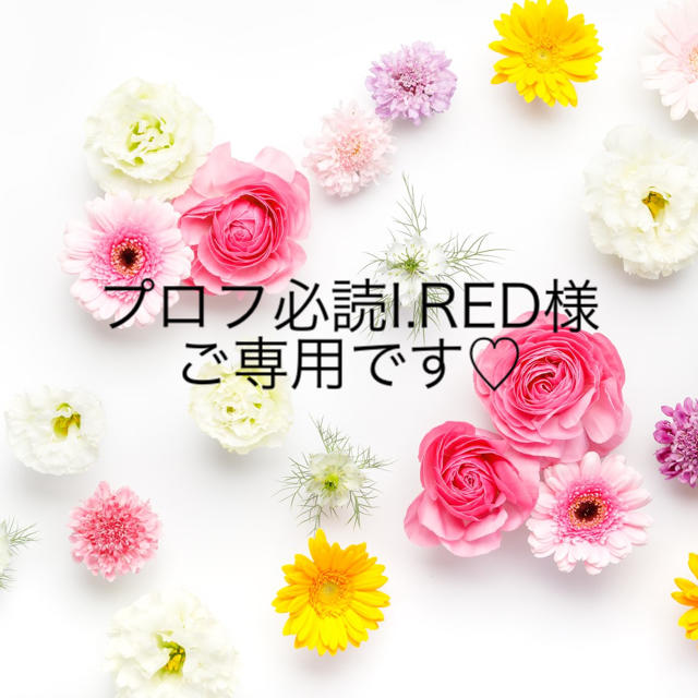 ちょっと贅沢な プロフ必読I.RED様ご専用です♡ - duhalde-diamants.com