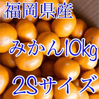 福岡県産 みかん 10kg 2S(フルーツ)