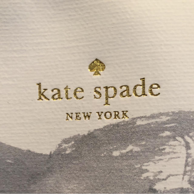 kate spade new york(ケイトスペードニューヨーク)の希少！ケイトスペード  バッグ  美品です レディースのバッグ(トートバッグ)の商品写真