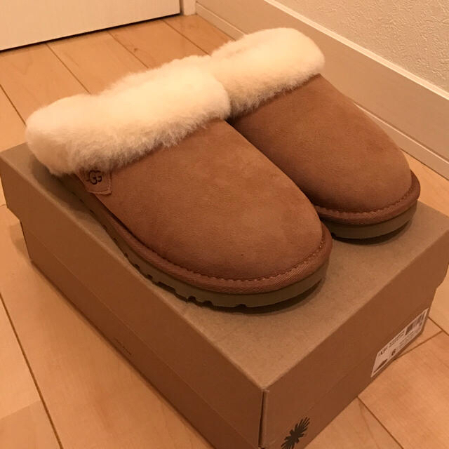 UGG Cluggette クラゲットのサムネイル