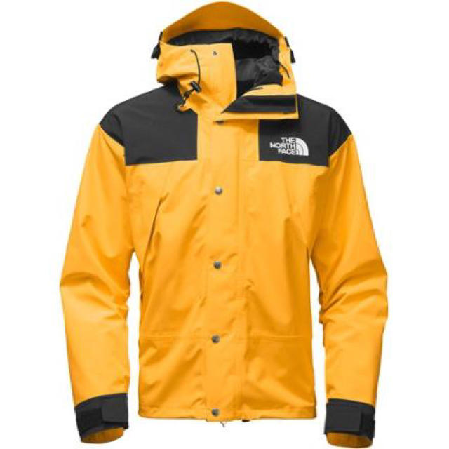 THE NORTH FACE - S THE NORTHFACE 1990 MOUNTAIN GTX JACKET