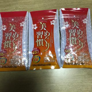 美めぐり習慣、貧血予防に！鉄、ビタミンB12、ビタミンC、葉酸、ビタミンB6(ビタミン)