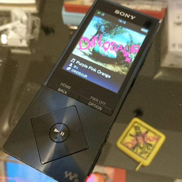 WALKMAN NW-A17 64GB 革ケース付