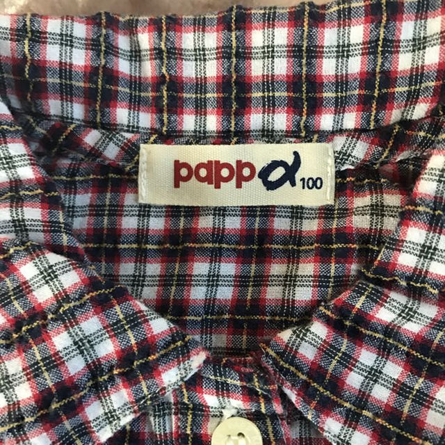 papp(パプ)のPAPP  サイズ100 キッズ/ベビー/マタニティのキッズ服女の子用(90cm~)(ワンピース)の商品写真