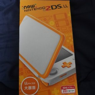 美品  new2DSLL