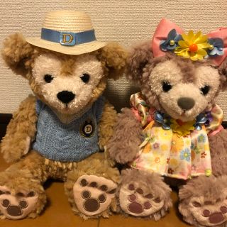 ダッフィー&シェリーメイ SS サイズ スプリングヴォヤッジ(ぬいぐるみ)