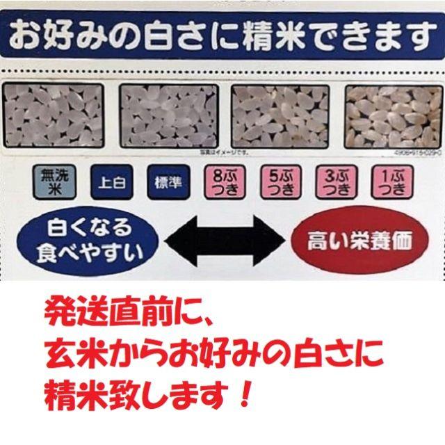 無農薬!自然栽培!農家直送!29年度佐賀県産!「伊勢ヒカリ」白米１０ｋｇ 食品/飲料/酒の食品(米/穀物)の商品写真