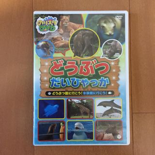 コロンビア(Columbia)のどうぶつだいひゃっか  DVD 50分(キッズ/ファミリー)