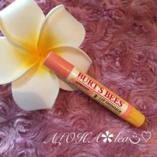 バーツビーズ(BURT'S BEES)のバーツビーズ リップシマー✿アプリコット(リップケア/リップクリーム)